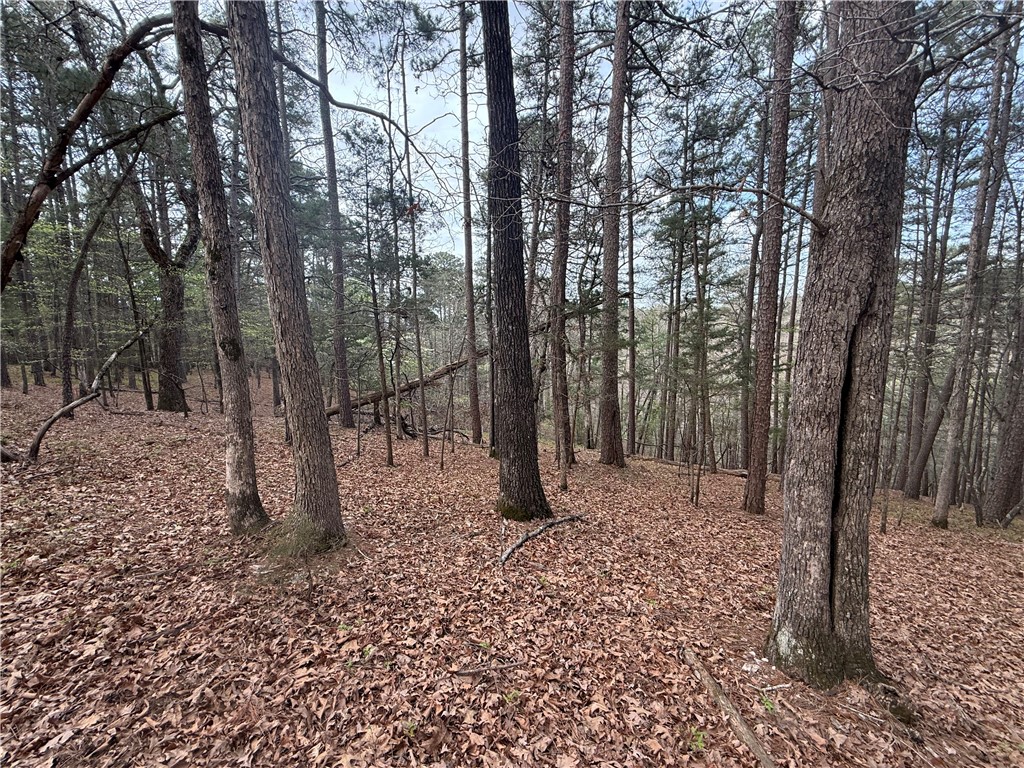 - - Land