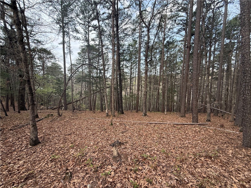 - - Land