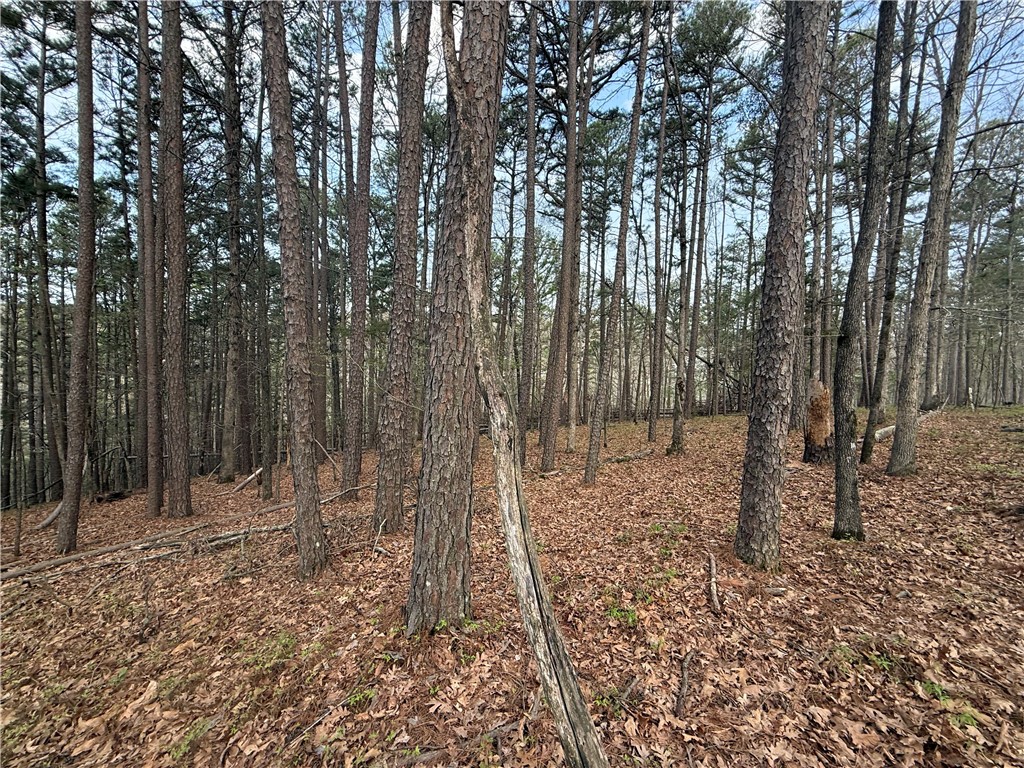 - - Land