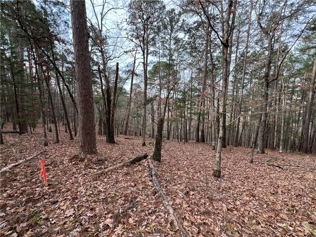 - - Land