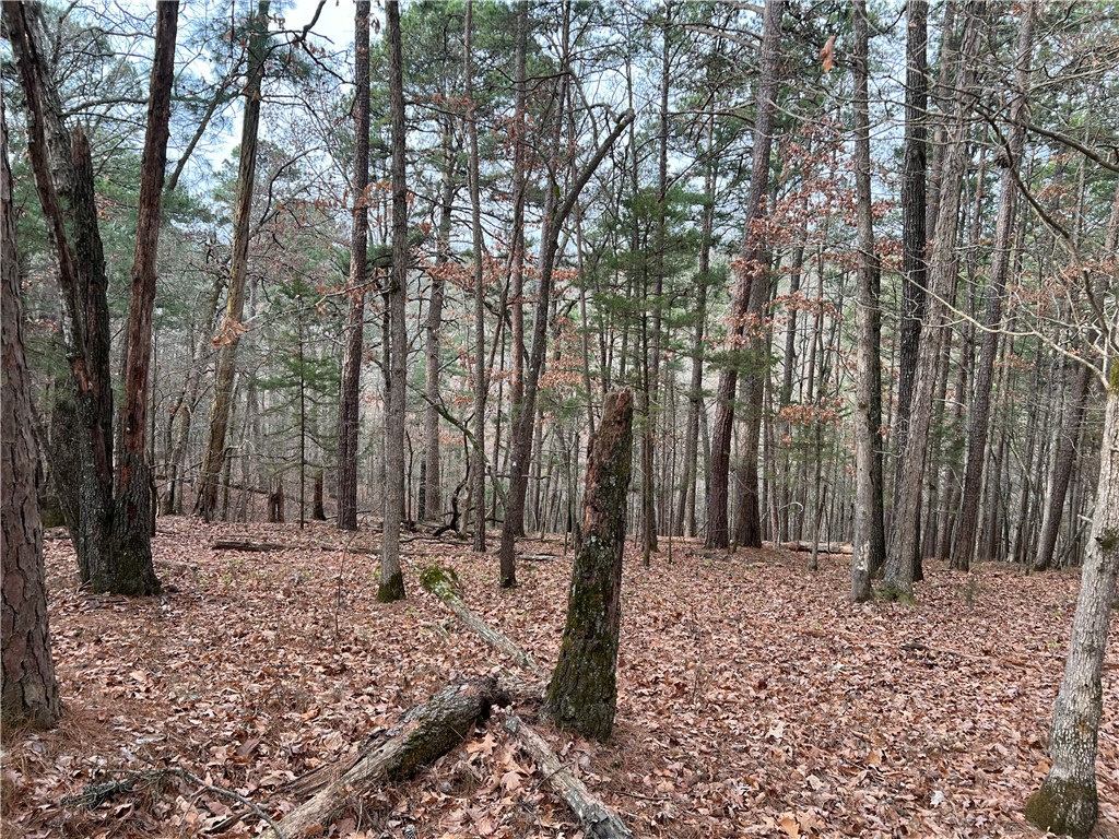 - - Land