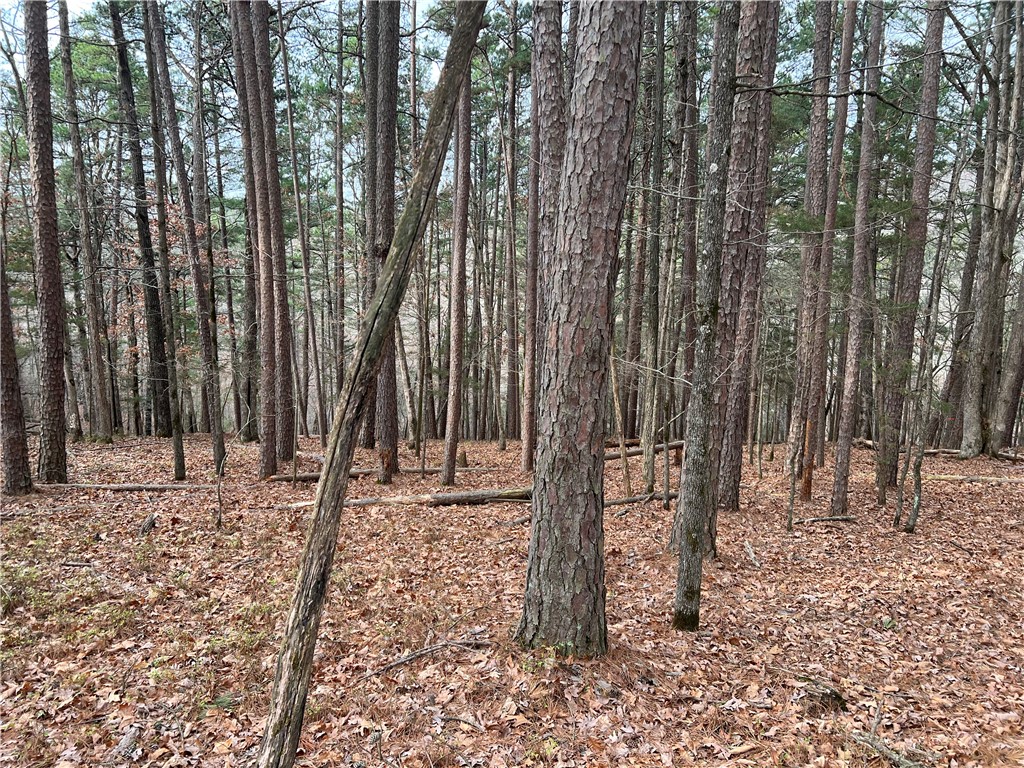 - - Land