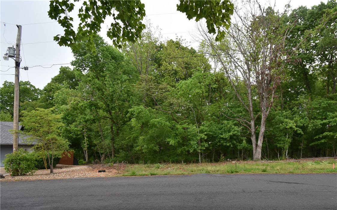 Great buildable lot with sewer tap connection on northwest side of Bella Vista, location is close distance to future i-49 and 1-549 Bypass being constructed now.  Lot is level in front from street then gently slopes before sharp drop off.  Great rear yard views.  Bella Vista POA and amenities are tremendous with golf, hiking and bicycle trails and much more.  Lot is being sold as a Build to Suit home requiring the purchase of the lot and buyer's working with builder on plans and specs for the home then acquiring construction loan after lot purchase.  Builder is a 20 plus year home builder in Northwest Arkansas.  

Two example floor plans B & C show great floor plans that will fit these lots perfectly which builder would potentially build in future.  Adjacent lot 15 for sale as well for potential to build a larger home on two lots combined.