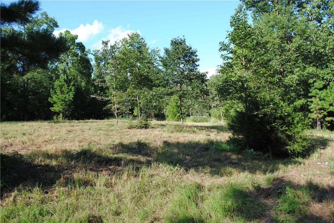 Rocky Branch Farms - Land