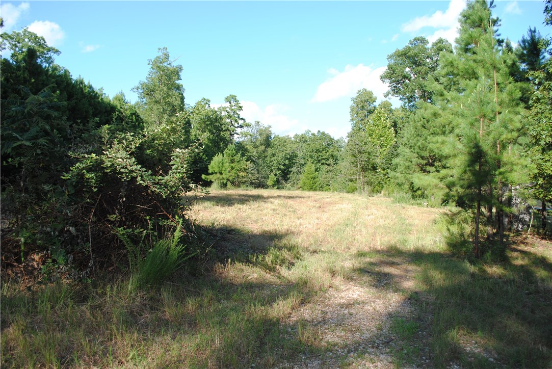 Rocky Branch Farms - Land