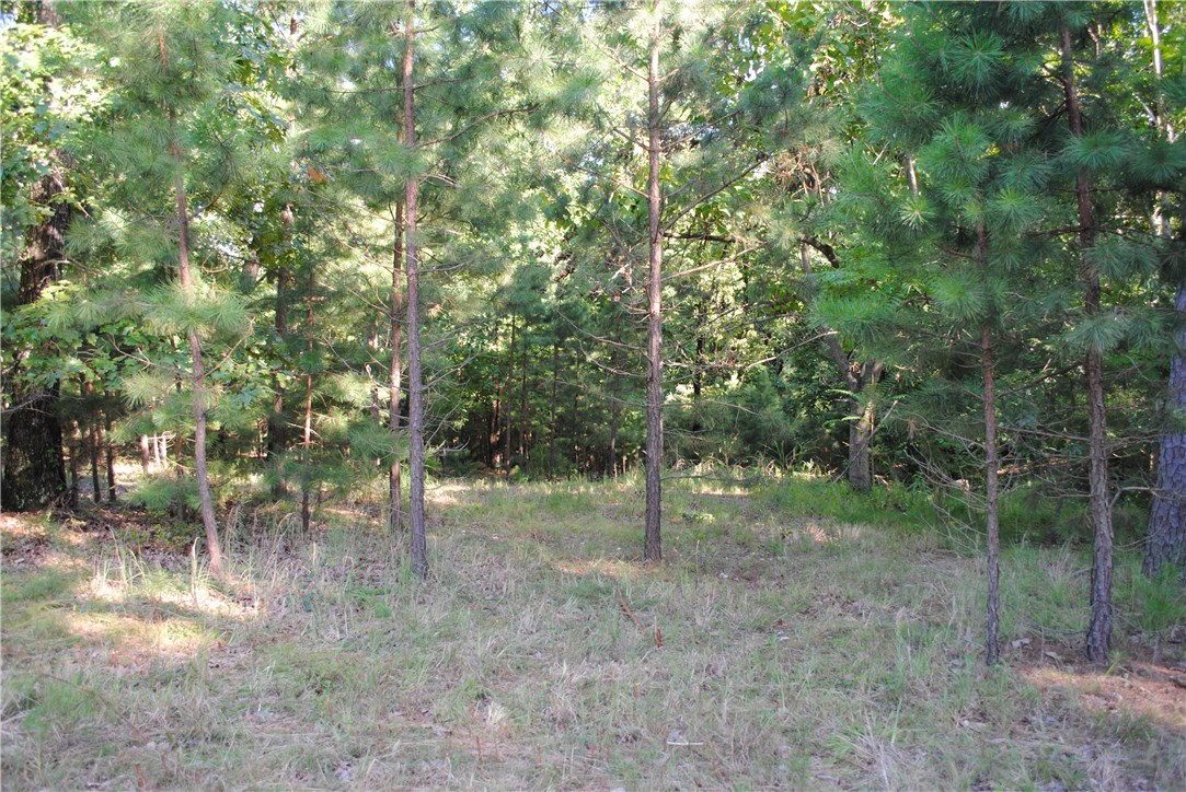 Rocky Branch Farms - Land