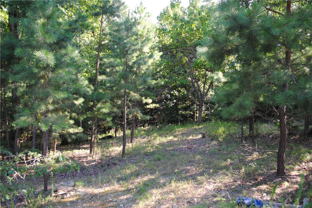Rocky Branch Farms - Land
