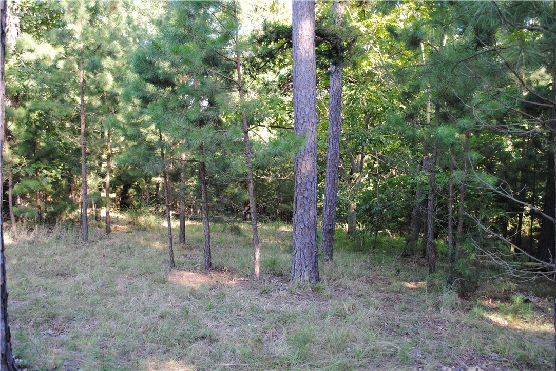 Rocky Branch Farms - Land