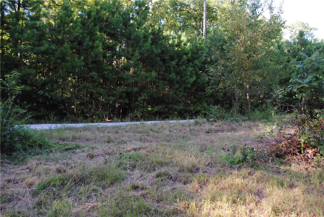 Rocky Branch Farms - Land