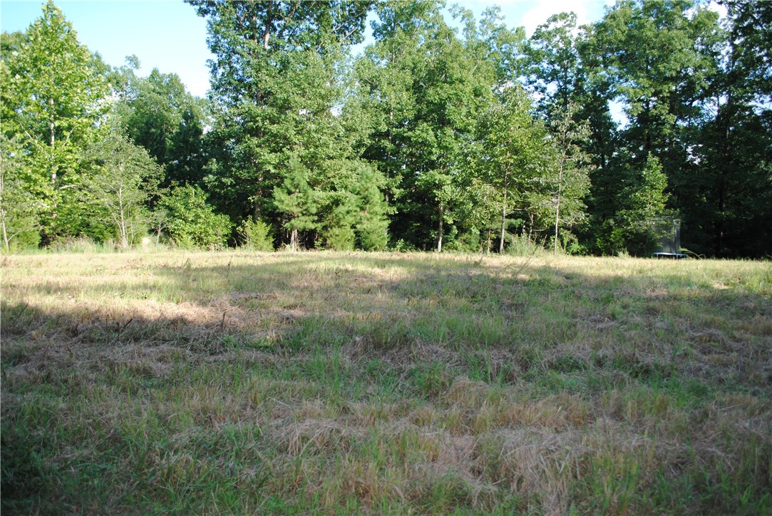 Rocky Branch Farms - Land