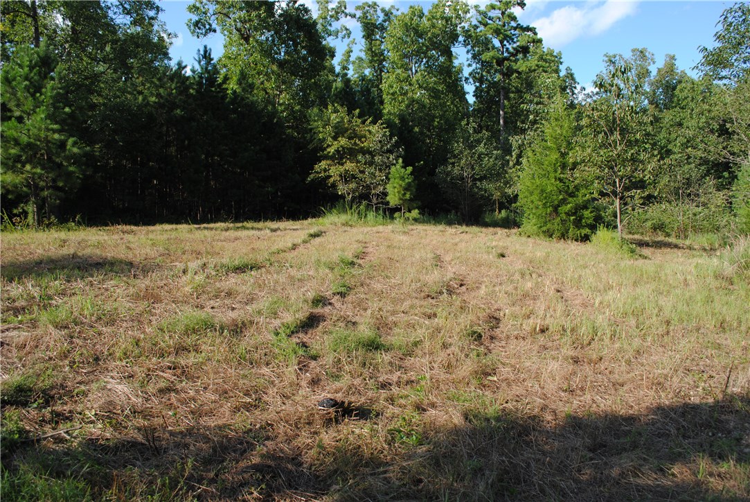 Rocky Branch Farms - Land
