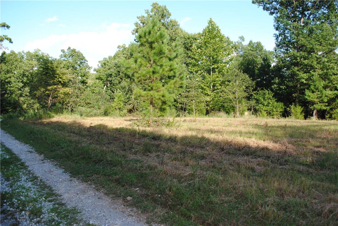 Rocky Branch Farms - Land