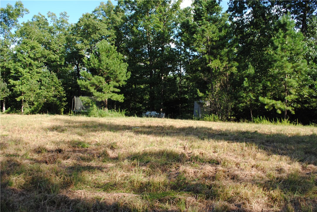 Rocky Branch Farms - Land