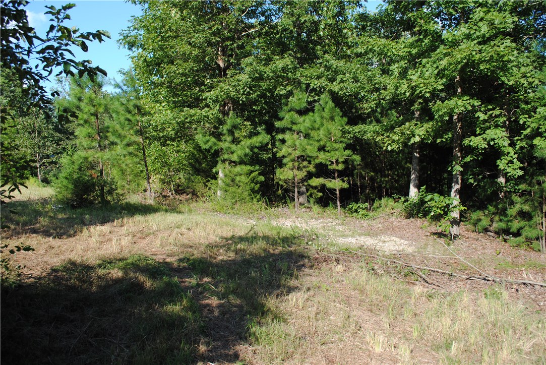 Rocky Branch Farms - Land