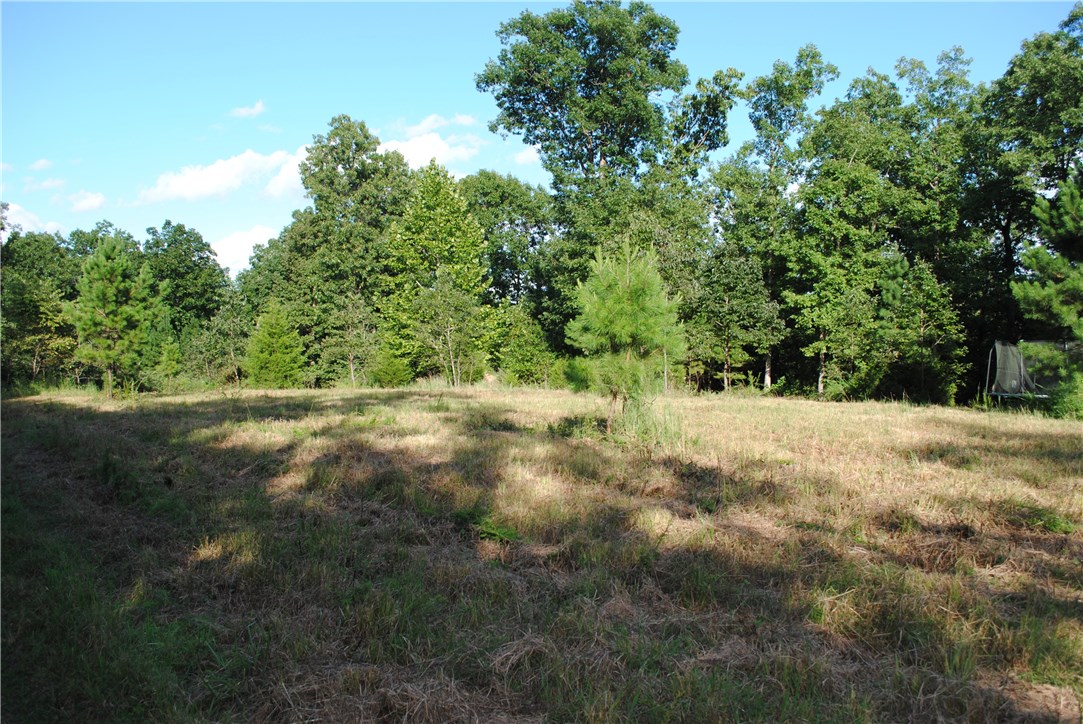 Rocky Branch Farms - Land