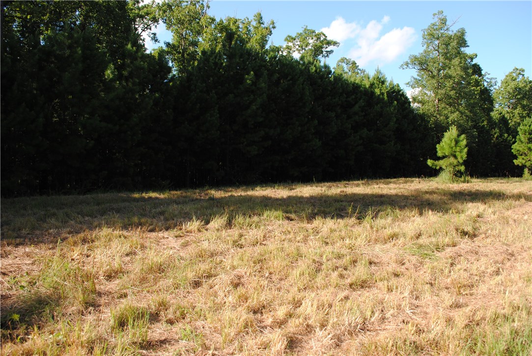 Rocky Branch Farms - Land