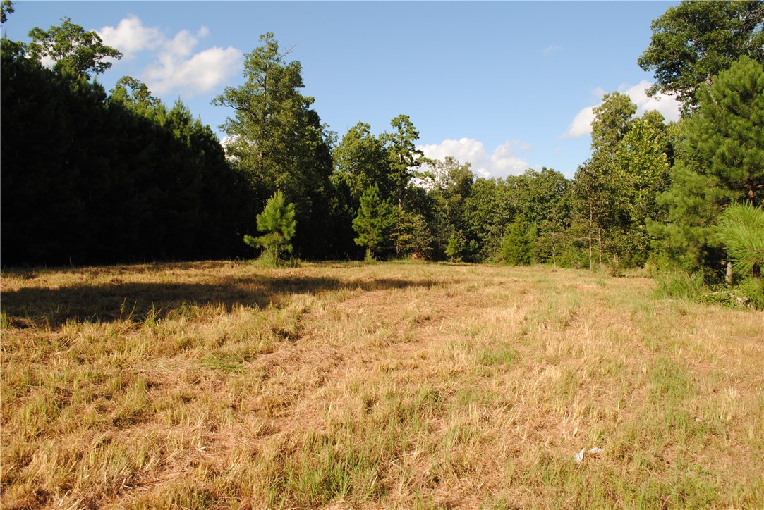 Rocky Branch Farms - Land
