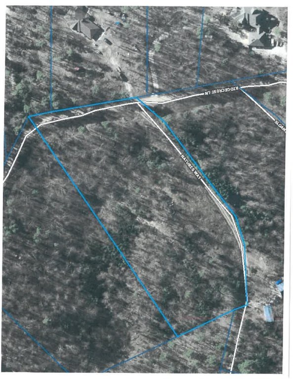 Rocky Branch Farms - Land