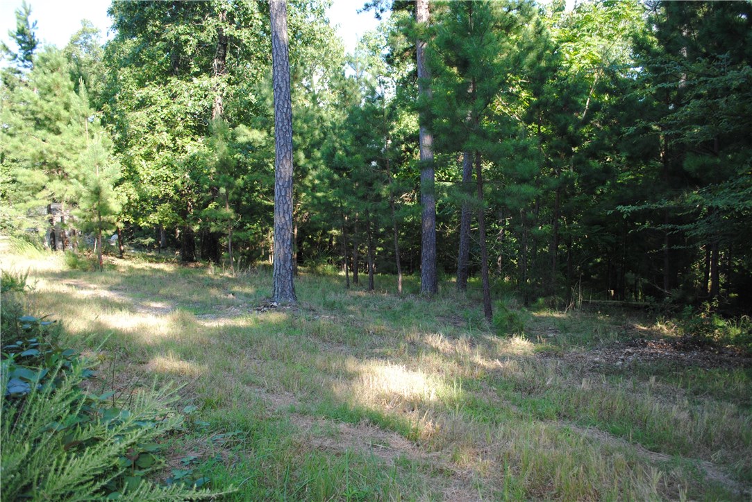 Rocky Branch Farms - Land
