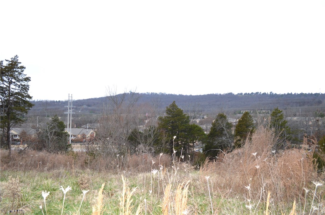 Deerpath Estates Ph II - Land