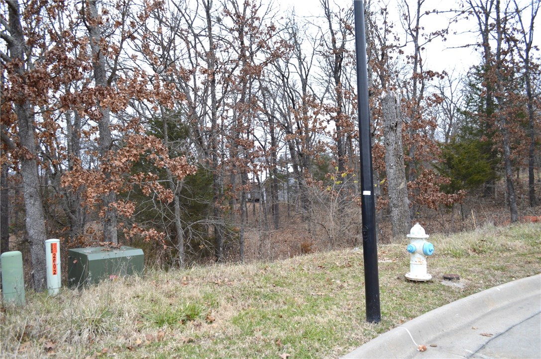 Deerpath Estates Ph II - Land