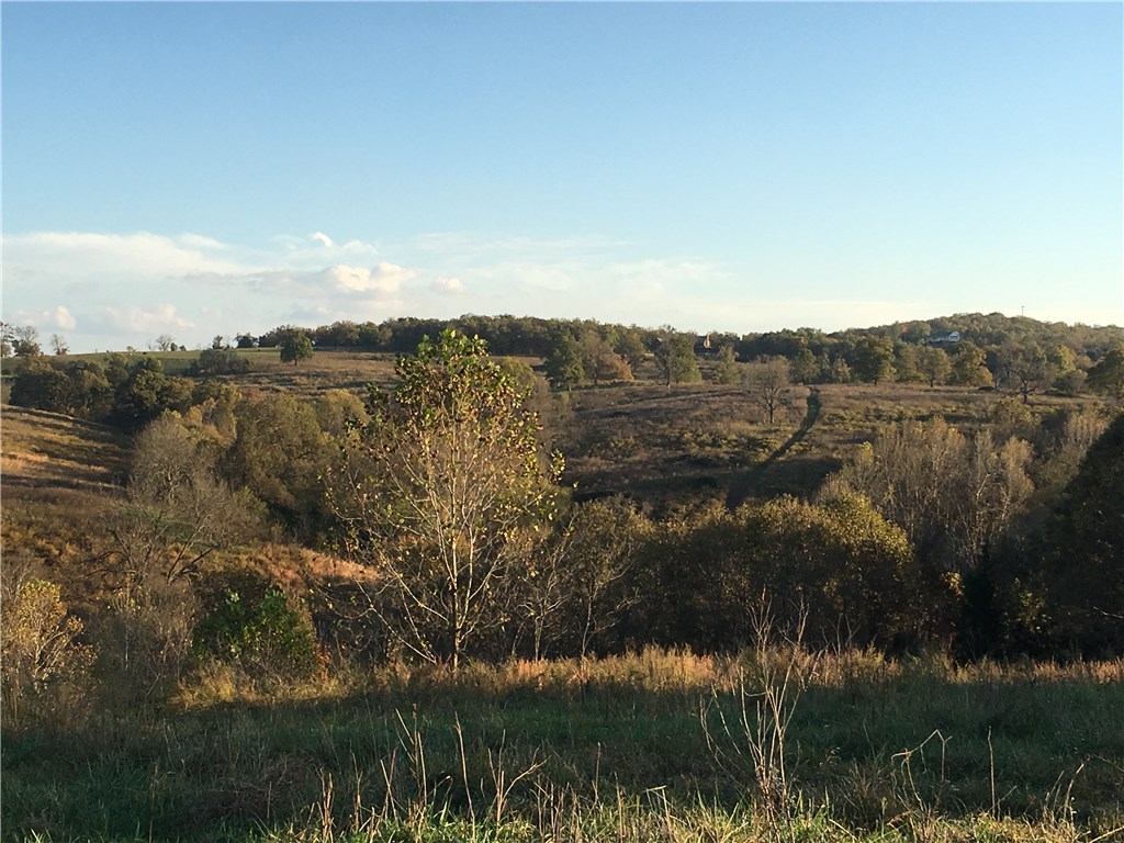 0 - Land