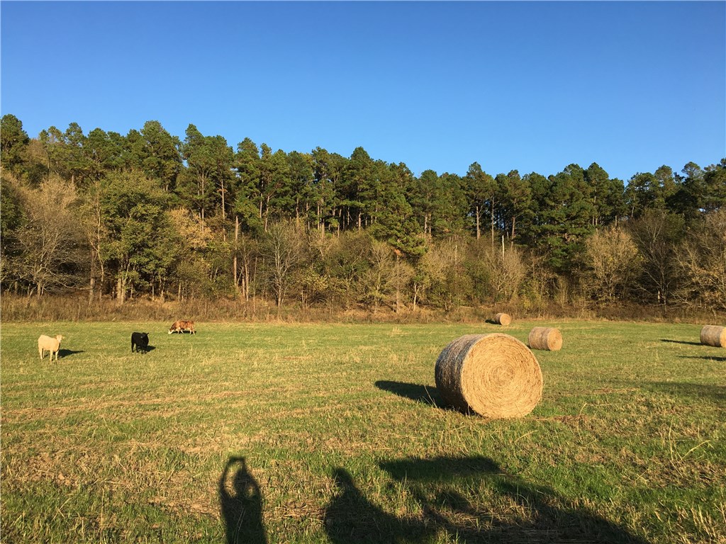 0 - Land