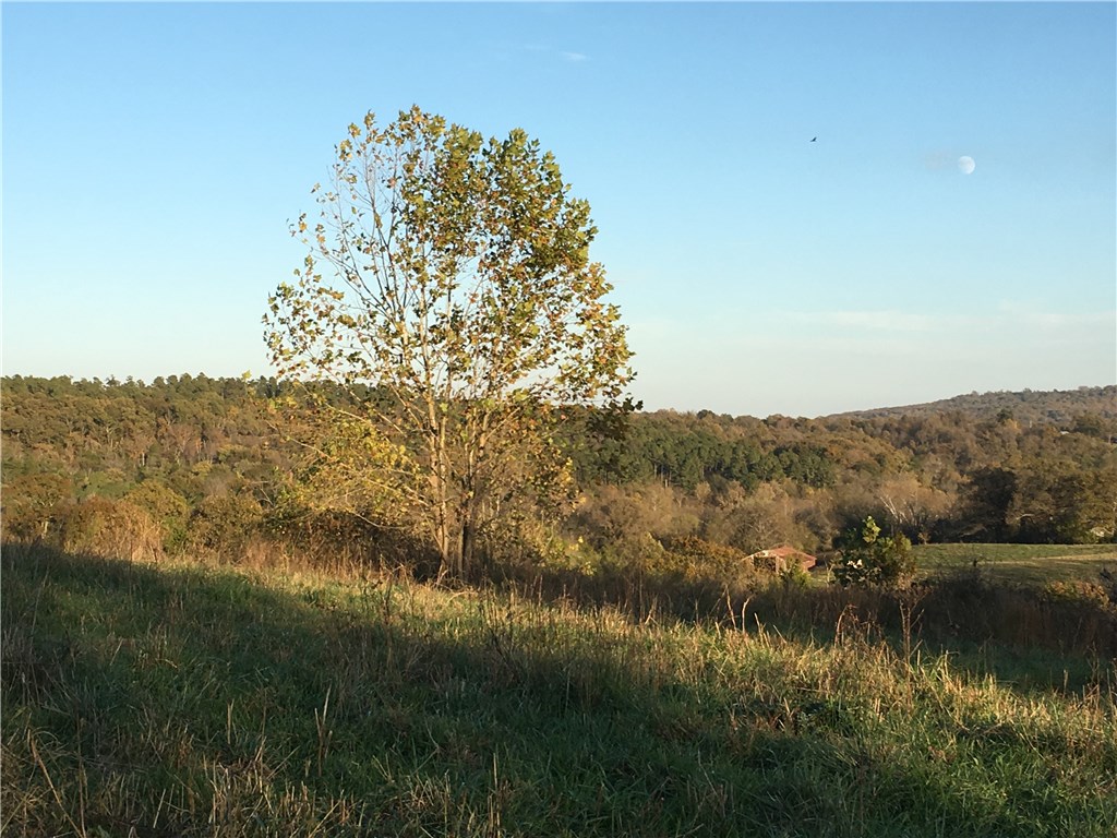 0 - Land