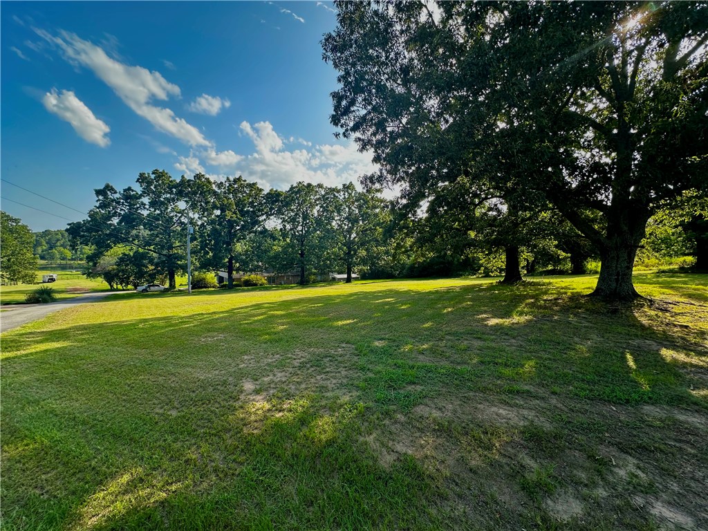 Here is your opportunity to own a beautiful piece of Mayflower! This 0.38-acre lot is ready for your vision with a completed perc test, electric available at the road, and water available across the road. Mature trees provide natural shade and character, while seasonal views of Lake Conway make this property even more special during the winter months. With Highway 89 S frontage, you'll enjoy easy access while still feeling tucked away in a peaceful setting! Bring your own building plans and make this property own! Whether you are dreaming of a custom home, cozy tiny home, or a manufactured home this ready-to-go lot is full of POTENTIAL!