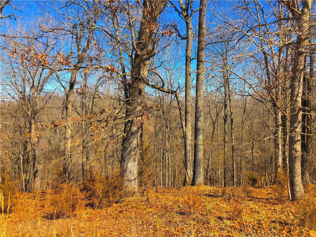 Mountain Lake Estates Ph 3 - Land