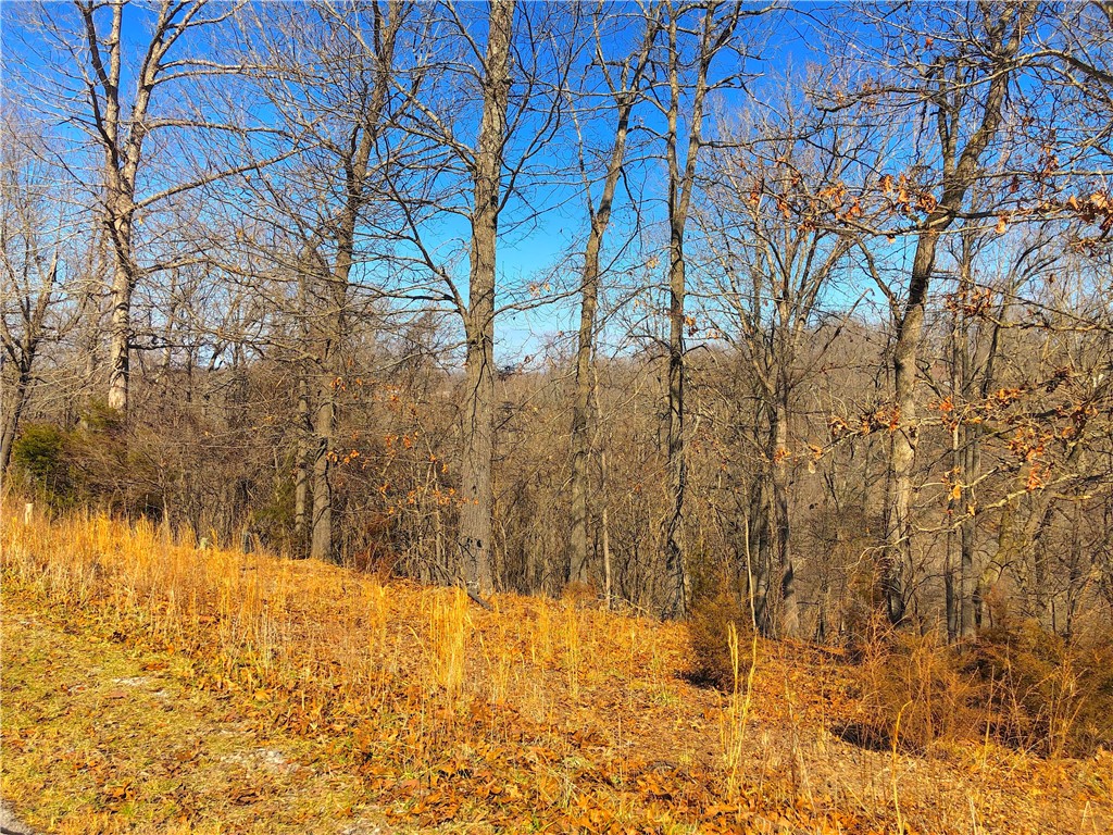 Mountain Lake Estates Ph 3 - Land