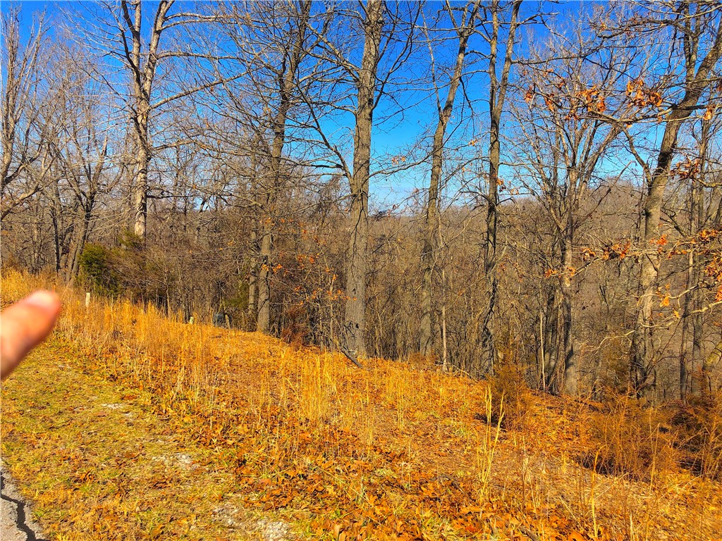 Mountain Lake Estates Ph 3 - Land