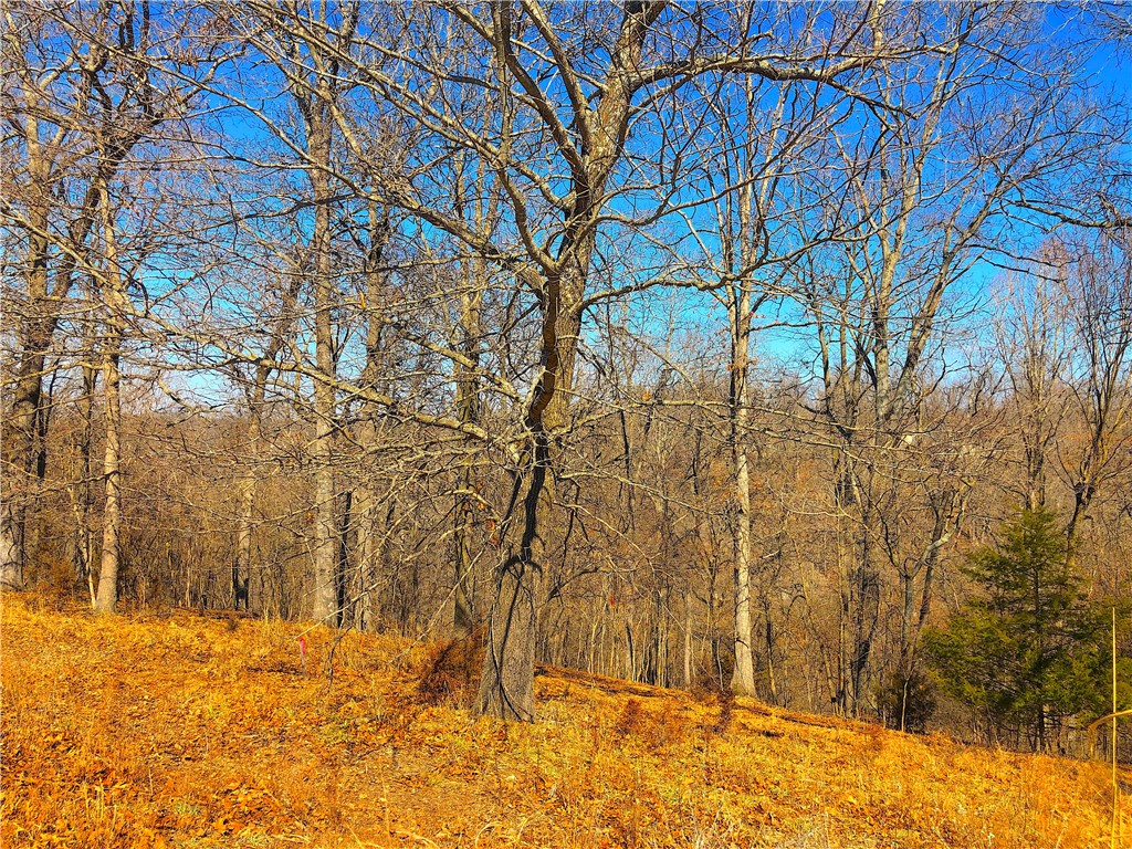 Mountain Lake Estates Ph 3 - Land