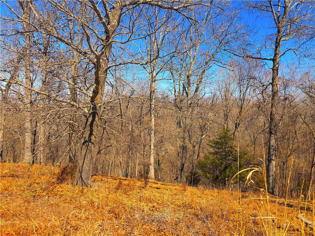 Mountain Lake Estates Ph 3 - Land