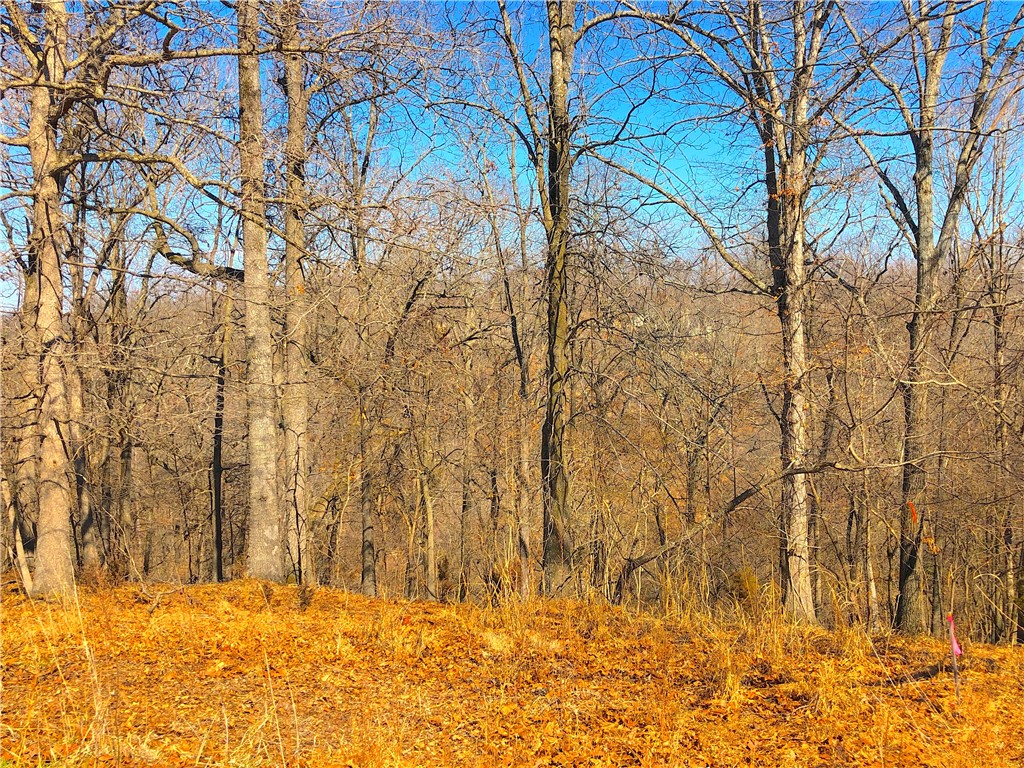 Mountain Lake Estates Ph 3 - Land