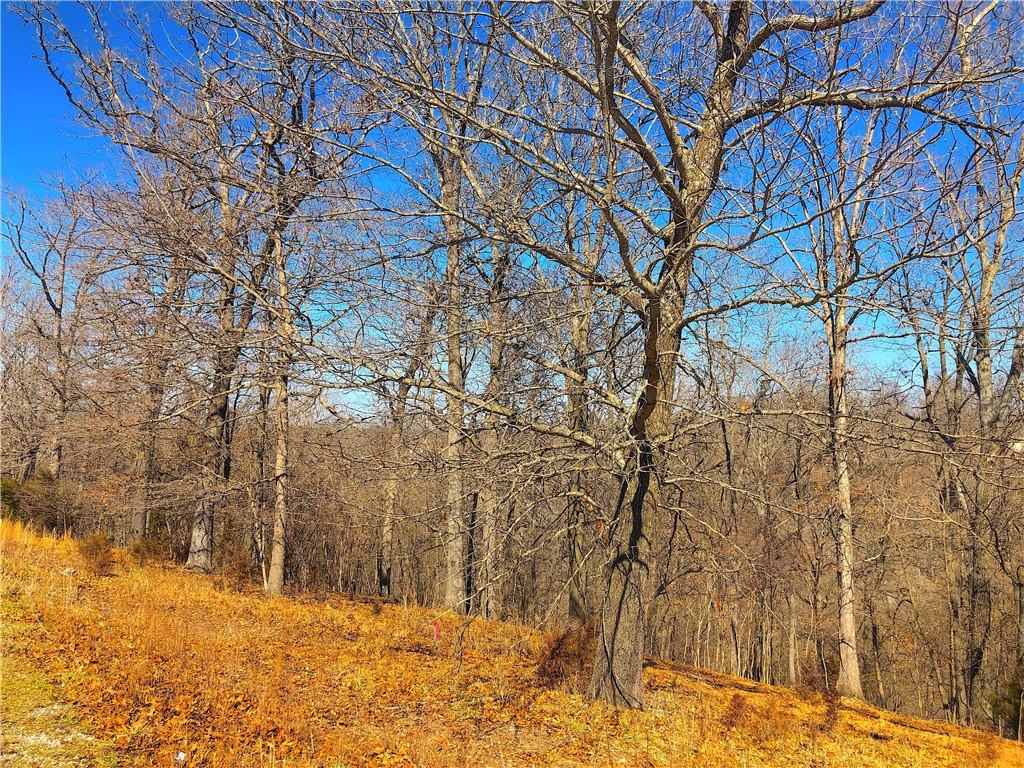 Mountain Lake Estates Ph 3 - Land