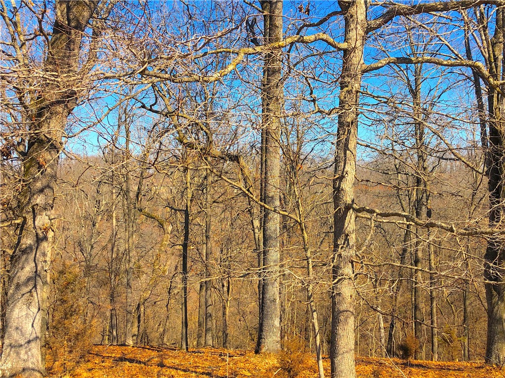 Mountain Lake Estates Ph 3 - Land