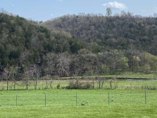 no - Farm
