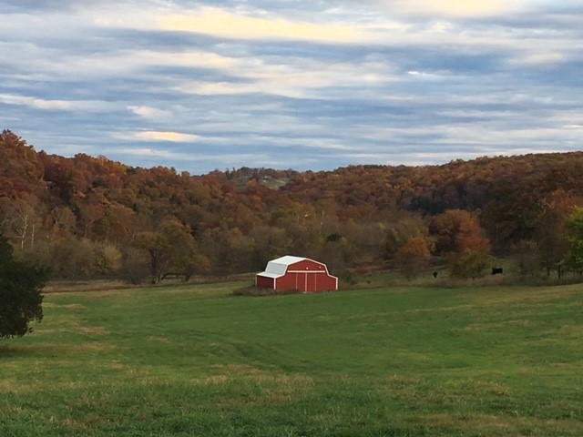 no - Farm