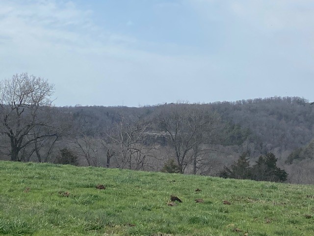 no - Farm
