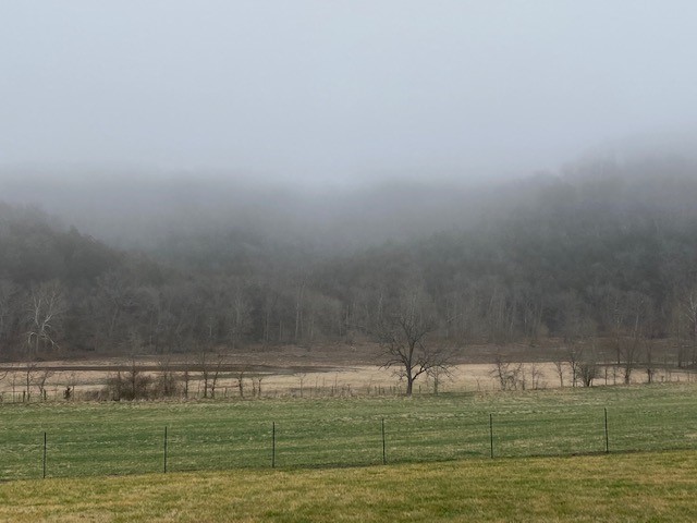 no - Farm