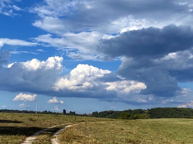 no - Farm
