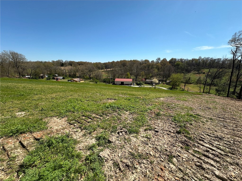 Blackberry Ridge - Land