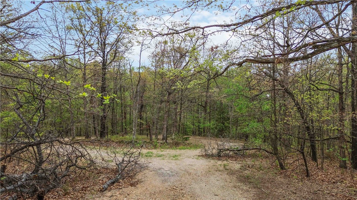 Build your dream home on this beautiful 0.23-acre lot in Bella Vista. Situated on a quiet cul-de-sac, this buildable parcel offers a peaceful, wooded setting with added privacy. Located in the highly desirable Bentonville School District, this lot combines tranquility with convenience—just minutes from nearby amenities, trails, and recreational opportunities.