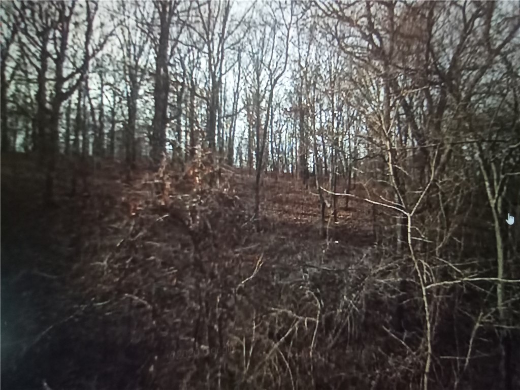 Rare extra large lot in Bella Vista near Pea Ridge.  Lot is mostly level raised above road.