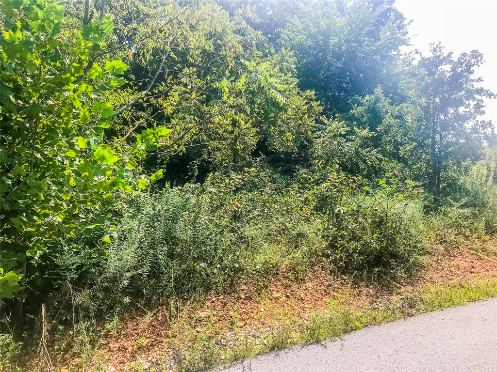 Hidden Acres - Land
