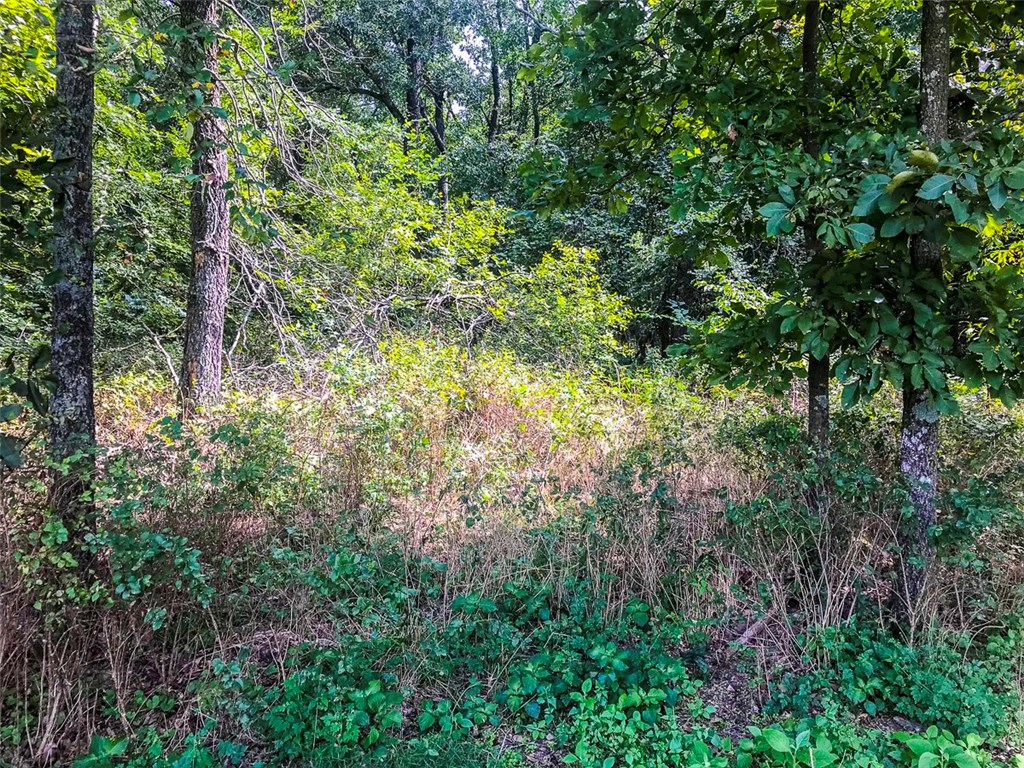 Hidden Acres - Land