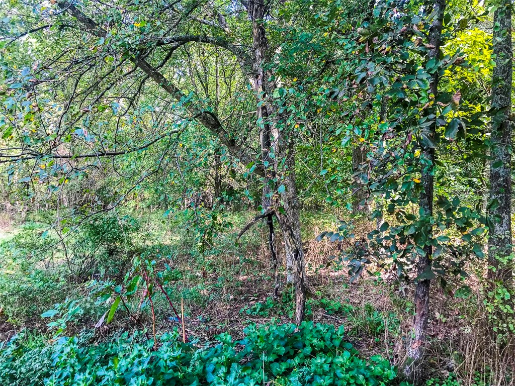 Hidden Acres - Land