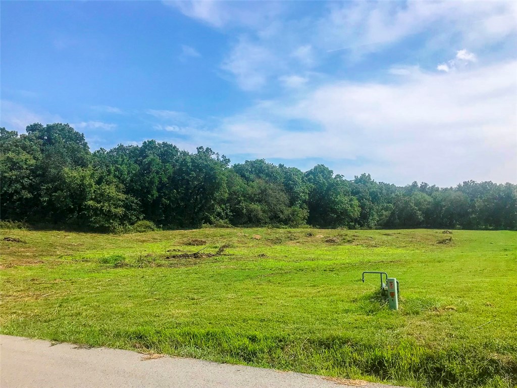 Don't miss out on this amazing opportunity to own 5.12 acres to build your dream home! Land is about 2/3 cleared with some wooded area, and gently rolling. Electric, Water, and natural gas already on-site. will need septic. Paved Roads all the way.  Sites in a subdivision of 5+ acres lots where houses range between $300-450k  

Map yourself to 10048 Hidden Acres Rd, Gravette, AR 72736. The listed 5 acres sits immediatly to the east