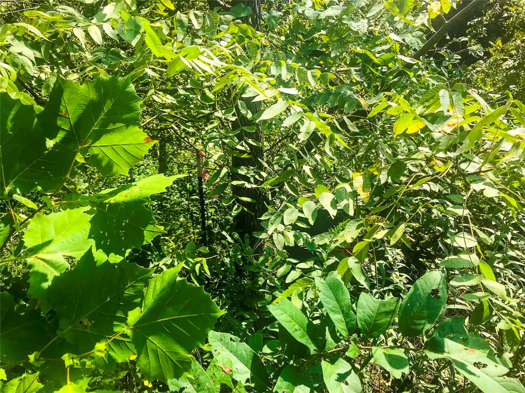 Hidden Acres - Land
